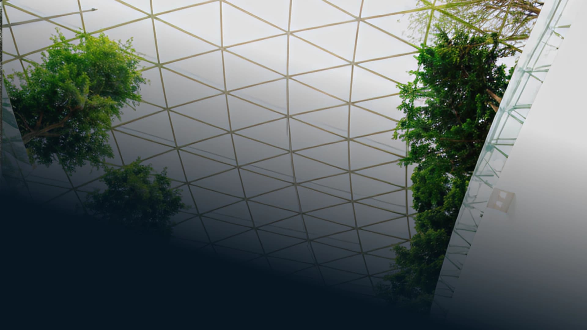 Blog Banner