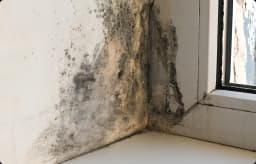 Seepage in Walls and Ceilings: Why It Happens and How to Stop It for Good