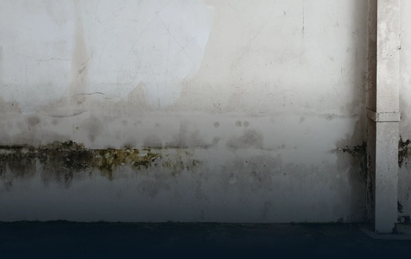 Seepage in Walls and Ceilings: Why It Happens and How to Stop It for Good