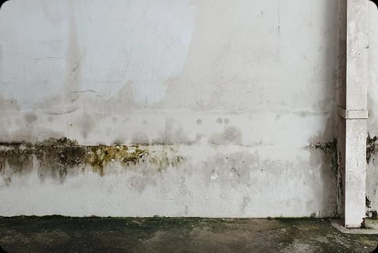 Seepage in Walls and Ceilings: Why It Happens and How to Stop It for Good